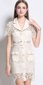 Chic Lace Button-Up Dress with Collar and Pockets - Available in Pink and Cream