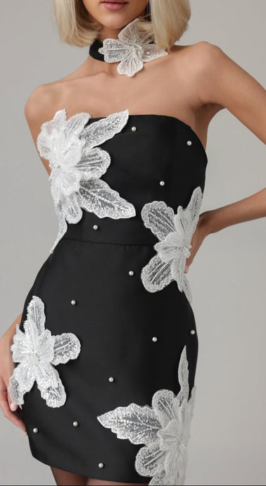 Embroidered Flowers & Pearls Mini Dress with matching chocker
