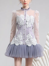 Load image into Gallery viewer, High End mesh &amp; lace Mini Dress