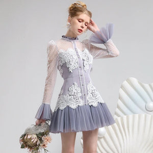 High End mesh & lace Mini Dress