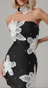 Embroidered Flowers & Pearls Mini Dress with matching chocker