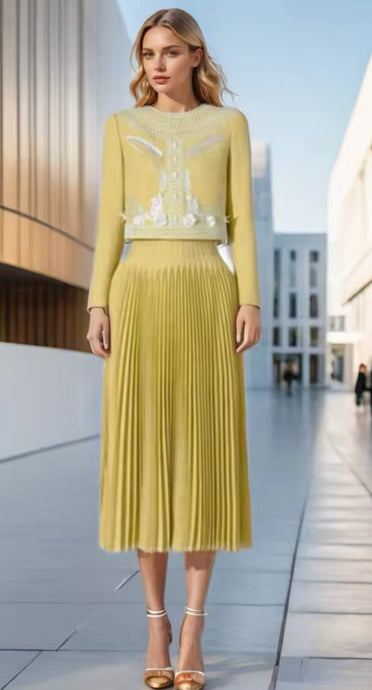 Golden Hour Embroidered Jackets & Pleated Skirt