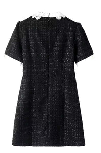 Tweed & Lace Mini Dress