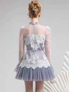 High End mesh & lace Mini Dress