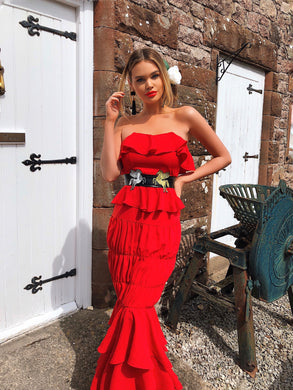 Red Pegasus Dress