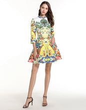 Load image into Gallery viewer, Floral Shower Skater Dress