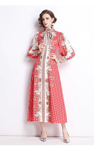Paint the town red maxi dress