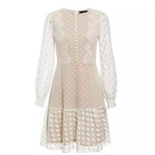 Load image into Gallery viewer, White Sheer Spotty Mini Dress