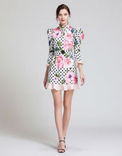 Load image into Gallery viewer, Dot To Dot Rose Mini Dress